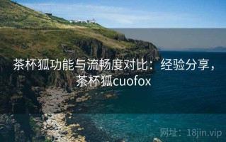 茶杯狐功能与流畅度对比：经验分享，茶杯狐cuofox
