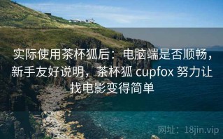 实际使用茶杯狐后：电脑端是否顺畅，新手友好说明，茶杯狐 cupfox 努力让找电影变得简单
