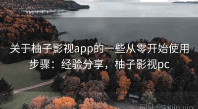 关于柚子影视app的一些从零开始使用步骤：经验分享，柚子影视pc