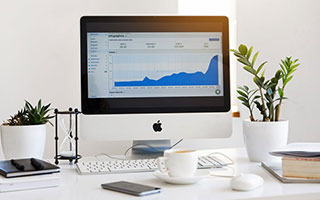 蘑菇tv相关记录：实际使用后再回头看适不适合新手，真实使用反馈