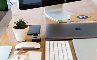 蘑菇tv相关记录：实际使用后再回头看适不适合新手，真实使用反馈