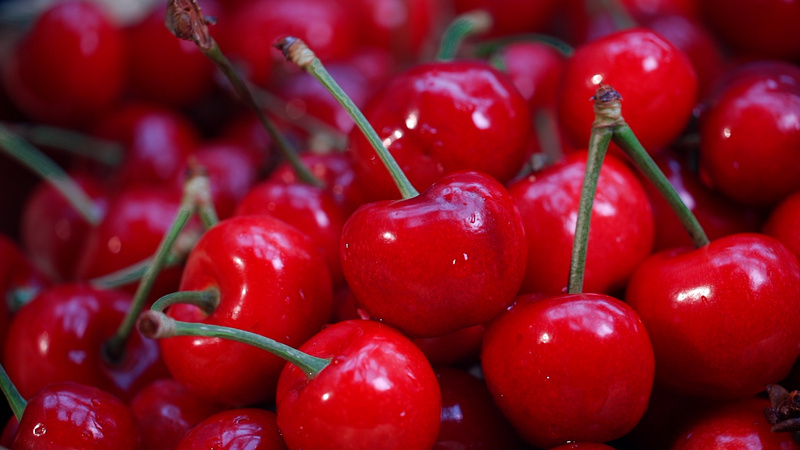 樱桃视频防走失专用页｜樱桃影视最新地址一键直达