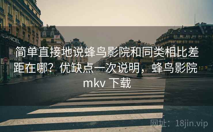 简单直接地说蜂鸟影院和同类相比差距在哪？优缺点一次说明，蜂鸟影院 mkv 下载