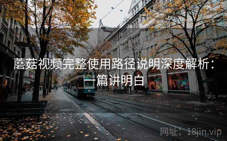 蘑菇视频完整使用路径说明深度解析：一篇讲明白
