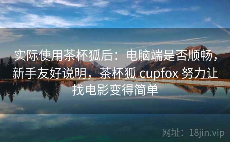 实际使用茶杯狐后：电脑端是否顺畅，新手友好说明，茶杯狐 cupfox 努力让找电影变得简单