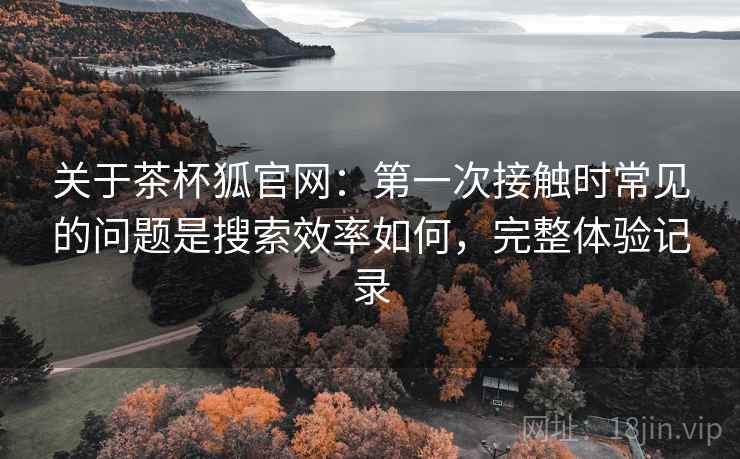 关于茶杯狐官网：第一次接触时常见的问题是搜索效率如何，完整体验记录
